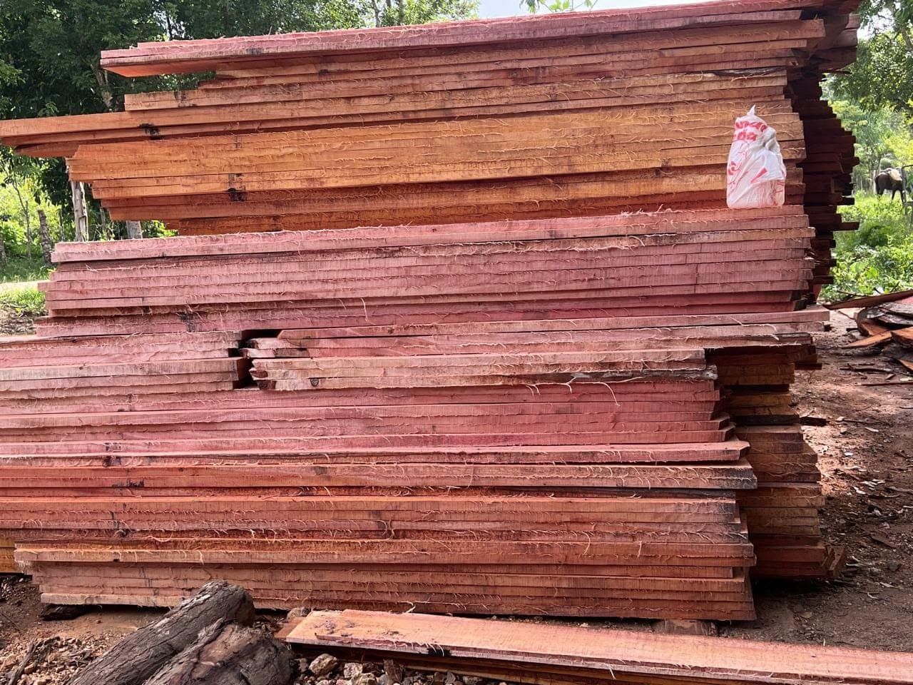 Tablas rústicas de obra apiladas al aire libre